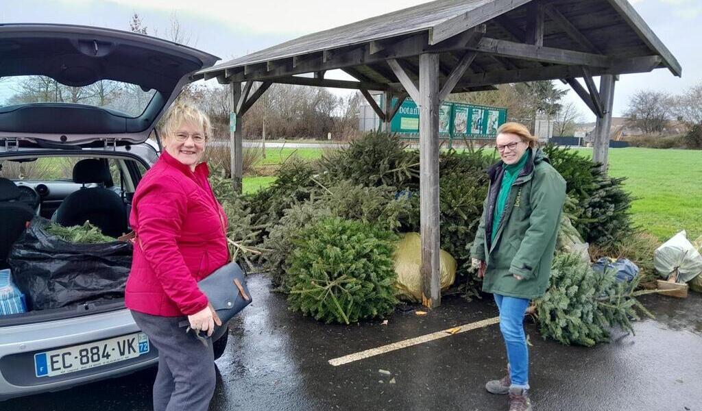 Dans l’agglomération du Mans, quelle jardinerie propose la reprise des