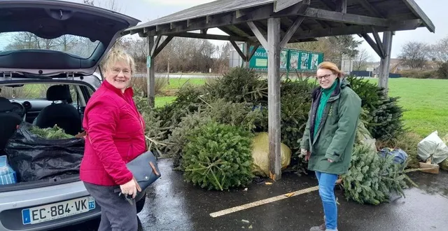 photo  chantal, lectrice de ouest france depuis 43 ans et cliente de botanic depuis 13 ans, ramène son sapin auprès de charlène chainay, responsable extérieur du magasin sargéen. le tas ne fait commencer.  &copy;  ouest-france 