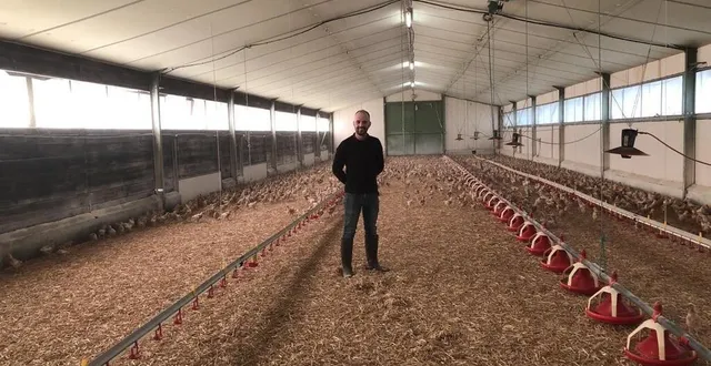 photo  françois grosbois, dans un de ses poulaillers.  &copy;  ouest-france 