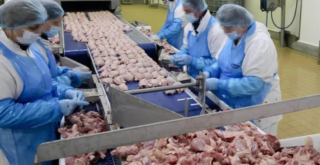 photo  les ventes du pôle volailles de ldc sont en progression fin 2023.  &copy;  archives 