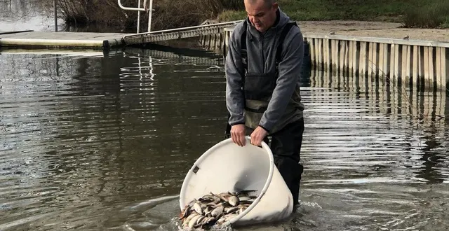 photo  dave barbier, le président de l’aappma (l’association agréée de pêche et de protection des milieux aquatiques) de la flèche (sarthe) et quelques bénévoles ont déversé 300 kg de poissons dans le lac de la monnerie, ce vendredi 5 janvier 2024.  &copy;  ouest-france 