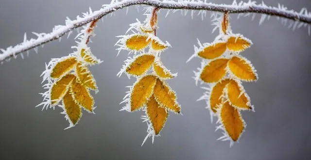 photo  le froid va faire son retour en sarthe ce lundi 8 janvier 2024. si le département n’est pas concerné pas une alerte de verglas, météo france prévoit des températures négatives et des gelées par endroits.  &copy;  thomas warnack / archives afp 