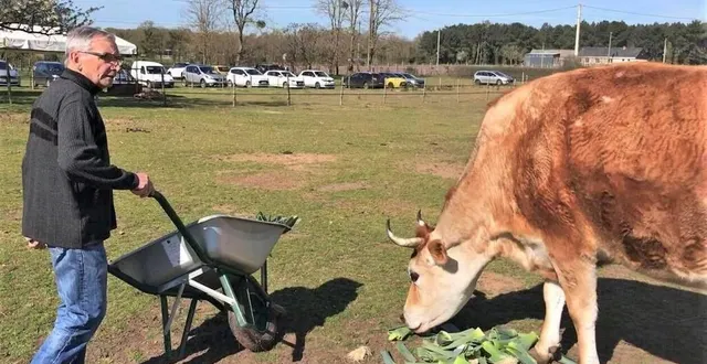 photo  le refuge des crins verts, constitué en association à cré-sur-loir (sarthe), s’interroge sur son avenir. l’entretien des animaux repose principalement sur le président, joël mahé, 76 ans. l’assemblée générale de l’association a eu lieu ce dimanche 7 janvier 2024.  &copy;  le maine libre 