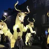 photo la compagnie remue-ménage a illuminé les rues et les visages de flers (orne) lors de sa parade dans les rues du centre-ville le 2 décembre 2023.