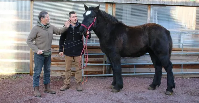 photo  nutella de la haize, entourée de guillaume et de bernard teinturier, prête à s’envoler pour les états-unis.  &copy;  le maine libre 