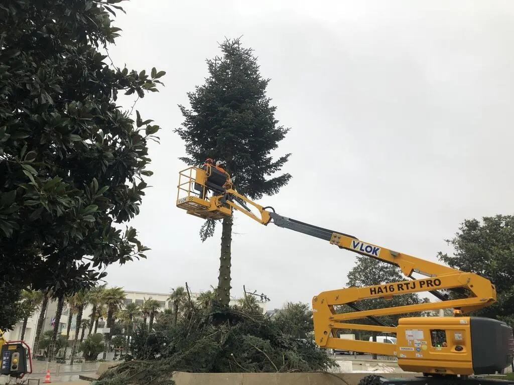 Marché De Noel Les Sables D Olonne Les Sables-d'olonne. à Noël, On Mangera Des Glaces Comme En été 28 Aux Sables-d’Olonne, le grand sapin de Noël a été débité en morceaux
