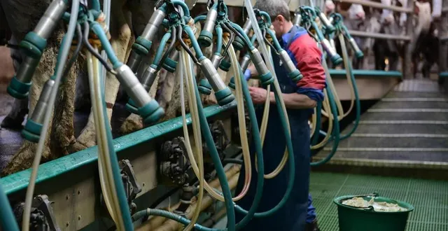 photo  l’unell et la laiterie lactalis parviendront-ils à s’entendre sur les modalités de la médiation, pour renouer le dialogue autour du prix du lait payé aux éleveurs ?  &copy;  ouest france 