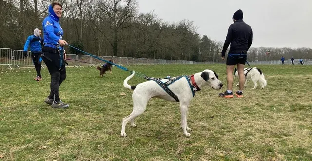 photo  dimanche 14 janvier 2024, une vingtaine de binômes de l’association will to go 72 s’est entraînée au bois de l’épau du mans (sarthe), pour le cross ouest-france pays de la loire.  &copy;  ouest-france 