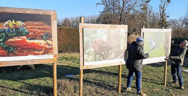 photo  en extérieur, près de l’entrée du centre val’rhonne, lieu d’hébergement du festival, une exposition de photos de l’association bercé naturellement est visible depuis le 10 janvier.  &copy;  le maine libre 