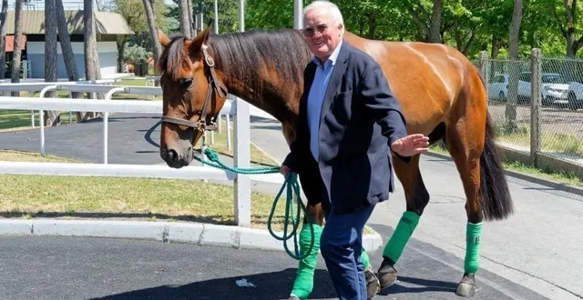 photo  joël hallais confie « ina du rib » à son gendre jean-loïc-claude dersoir. le duo s’attaque à son vingtième prix de cornulier en tandem entraîneur-jockey.  &copy;  jll le trot 