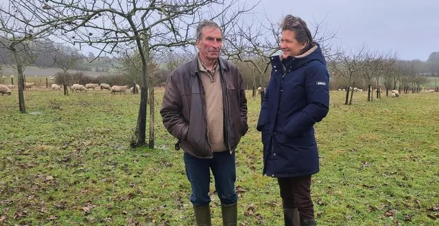 photo  gilles michaudel et sophie ammann dans le verger entretenu par les moutons et dont les pommiers ont été plantés il y a 10 ans.  &copy;  le maine libre 