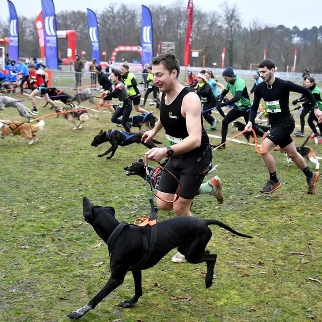 photo dimanche matin, les premiers en lice étaient sur quatre pattes, pour l’épreuve de cani-cross.  ©  marc roger / ouest-france