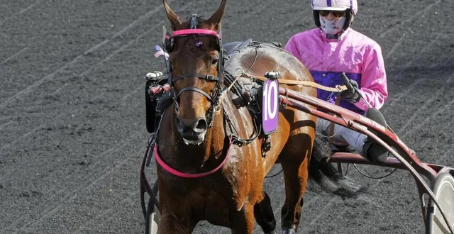 photo  diable de vauvert va participer à son dernier prix d’amérique. c’est son entraîneur, bertrand le beller, qui sera à son sulky.  &copy;  jll-letrot 