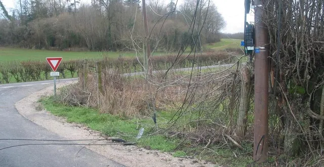 photo  les fils sont sur la route depuis un mois.  &copy;  ouest-france 