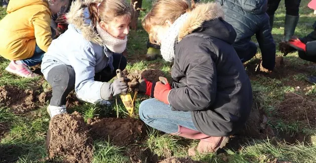 photo  800 arbres ont été plantés à solesmes lundi 22 et mardi 23 janvier 2024, dont quelques-uns par les enfants de l’école de solesmes (sarthe).  &copy;  ouest-france 