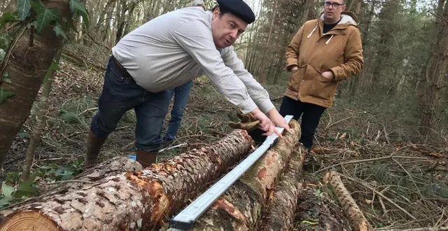 photo  le propriétaire et l'exploitant mesurent le bois une fois coupé afin de calculer le prix d'achat.  &copy;  le maine libre 