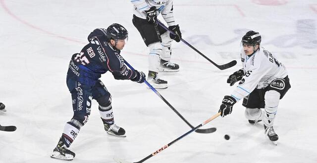 Hockey Sur Glace. Ligue Magnus : La Première Place à Portée De Tir Des ...