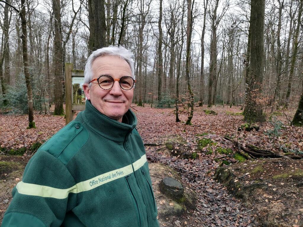 La Forêt de Bercé, en Sarthe