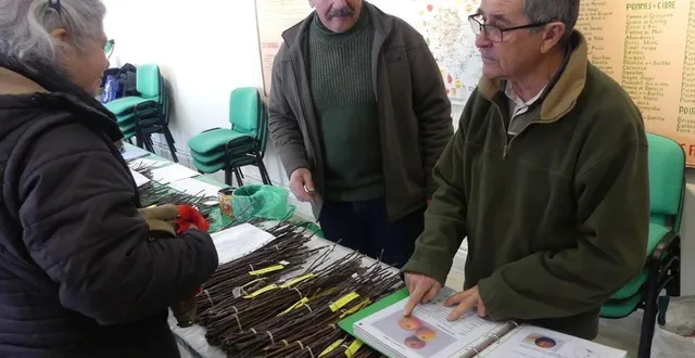 photo  les croqueurs de pommes se feront un plaisir de conseiller chaque visiteur pour le choix des variétés.  &copy;  ouest-france 