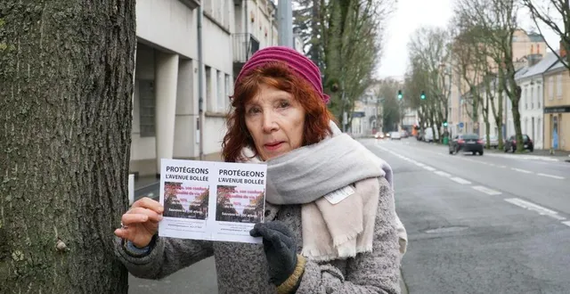 photo  michèle miant, présidente de l’association patrimoine environnement menacé.  &copy;  le maine libre 