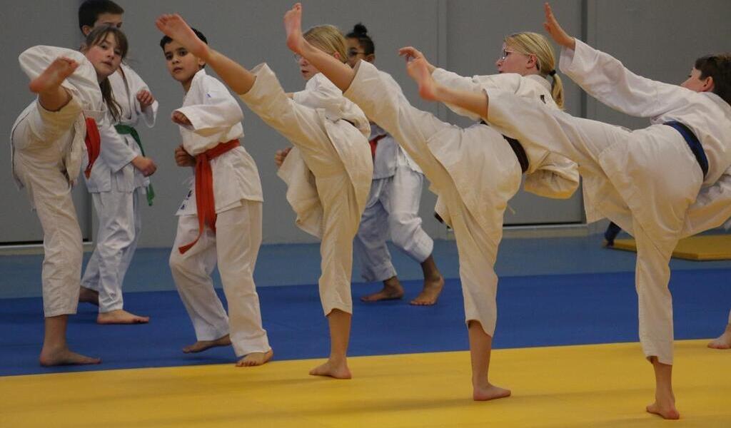 taekwondo saut en arrière coup de pied