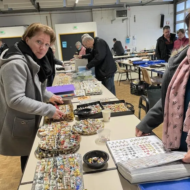 photo une vingtaine d’exposants a participé au 13e salon multicollections d’écouché-les-vallées.  ©  ouest-france