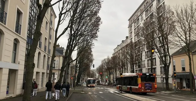 photo  sur l’avenue bollée, au mans, l’abattage programmé de 200 arbres fait vivement réagir riverains, associations et désormais, les élus d’opposition.  &copy;  ouest-france 