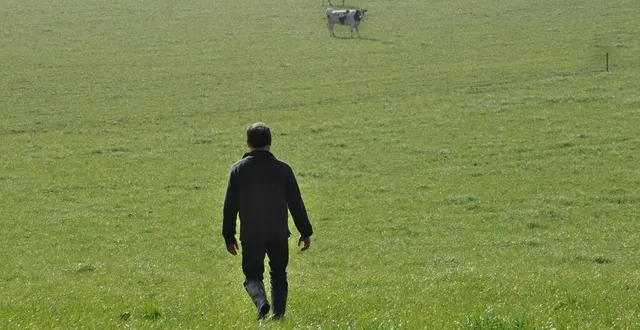 photo  le suicide touche particulièrement le milieu agricole. (photo d’illustration)  &copy;  archives ouest-france 