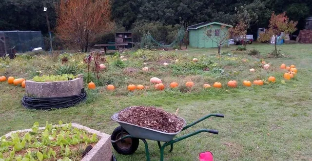 photo  la taxe d’aménagement, qui concerne les abris de jardin mais aussi les vérandas ou encore les piscines, grimpe encore en 2024.  &copy;  carole pasquier - basle / ouest-france 