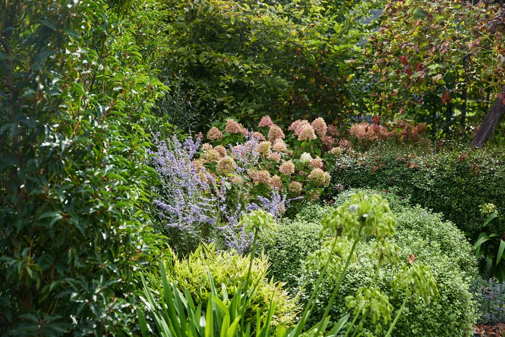 Des compositions de végétaux en harmonie avec votre jardin I Arbor & Sens Des compositions de végétaux en harmonie avec votre jardin I Arbor & Sens