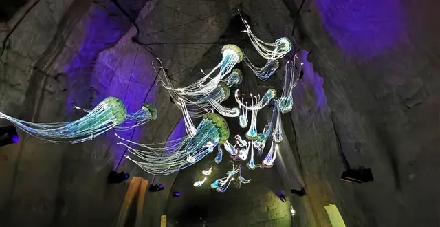 photo  à doué-en-anjou, les caves cathédrales des mystères des faluns sont l’occasion de plonger en plein océan.  &copy;  co 