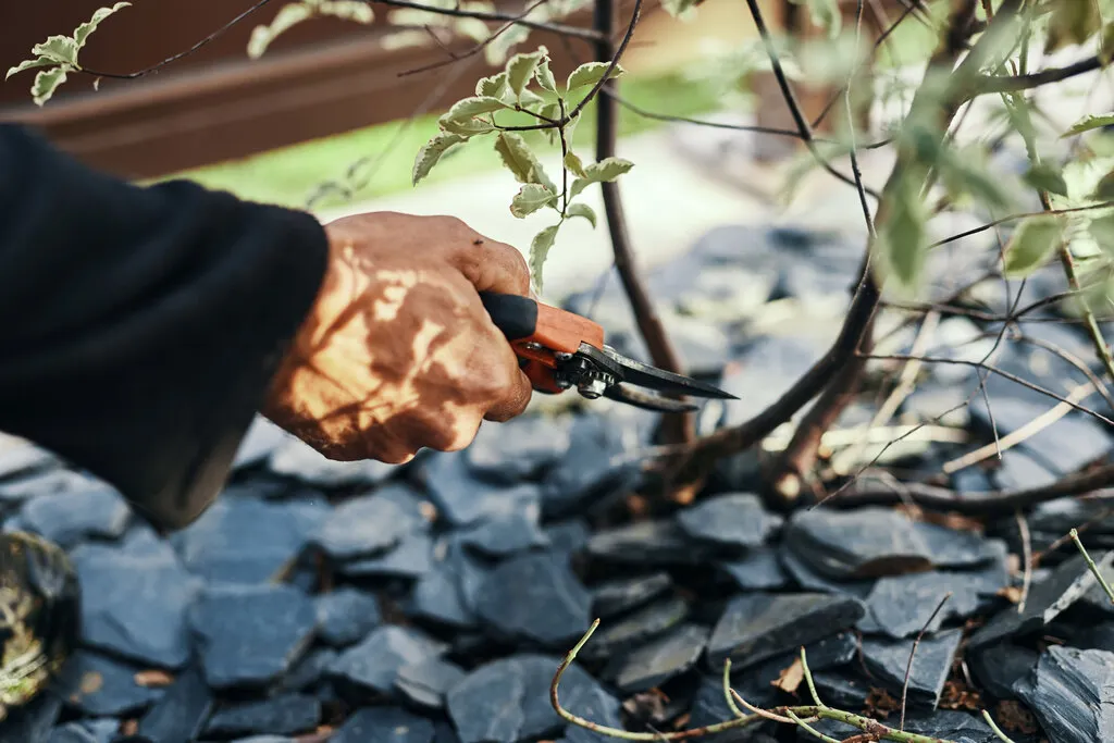Le spécialiste de l'entretien raisonné I Arbor & Sens Le spécialiste de l'entretien raisonné I Arbor & Sens
