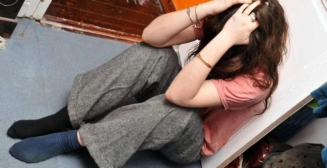 photo  la « progression du mal-être chez les jeunes » est une « dure réalité », a pointé liliane bellion, médecin conseillère technique auprès de l’inspection académique, lors d’une matinée de formation au suicide à rouillon.  &copy;  fotolia 