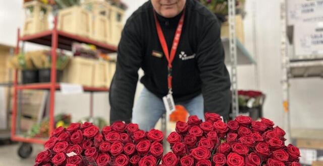 photo  la rose rouge, que distribue le grossiste fleurametz au min de nantes, reste la star de la saint-valentin. 