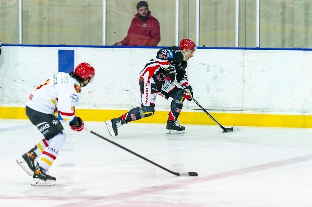 Hockey Sur Glace. D1 : Pas Le Droit à L’erreur Pour Les Dogs De Cholet ...