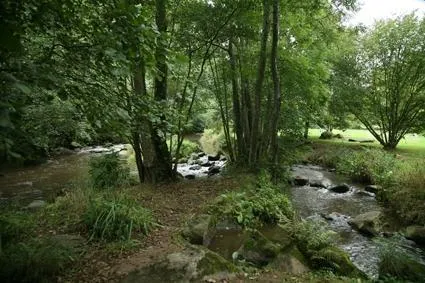 photo  le chant-des-cailloux, à taillebois, à athis-val-de-rouvre, lieu-dit le long de la rouvre.  &copy;  vaertigo 