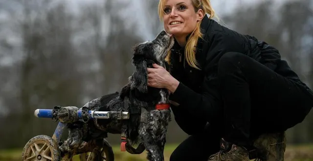photo  stéphanie lisicki dévoue toute sa vie à son association, suzy handicap animal. cette association vient en aide à des animaux handicapés du monde entier.  &copy;  martin roche/ ouest-france 