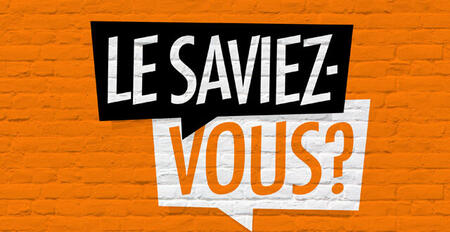 photo Quel est l'origine de la Saint-Valentin ? Par Brad Pict