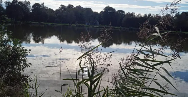 photo  le plan d’eau de la cour est ouvert tous les jours, la pêche est en no kill, et tout comme au plan d’eau de tinchebray, les ardillons sont interdits sur les hameçons. pour la capture d’un brochet, la taille minimum est de 60 cm, le prélèvement de gardons est autorisé dans la limite de quinze par personne.  &copy;  ouest-france 