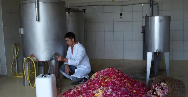 photo  depuis 1993, la famille métivier distille des eaux florales sous l’enseigne terre de rose, à doué-la-fontaine (maine-et-loire).  &copy;  terre de rose 