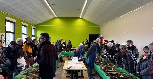 photo  à asnières-sur-vègre, l’association les croqueurs de pommes organisait sa troisième bourse aux greffons.  &copy;  le maine libre 