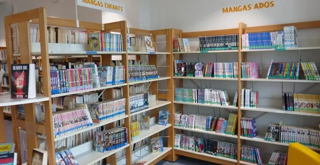 photo  l’offre de mangas de la médiathèque va s’enrichir d’une offre en ligne pour être au plus près de l’actualité dans ce domaine.  &copy;  le maine libre 