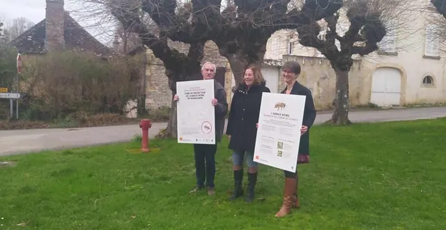 photo  de gauche à droite : raymond daman, anick bruneau et angélique creusier.  &copy;  ouest-france 