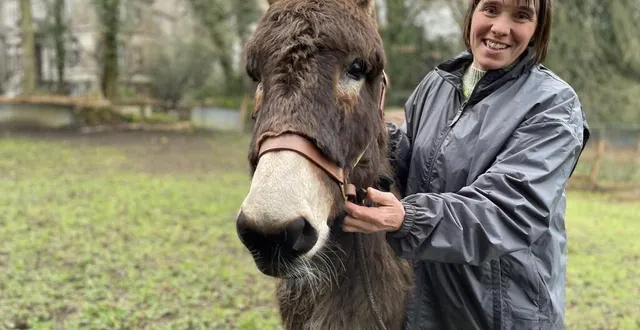 photo  laurence duhamel présentera klémentine, une ânesse de race normande, au salon de l’agriculture à partir du samedi 24 février 2024.  &copy;  ouest-france 