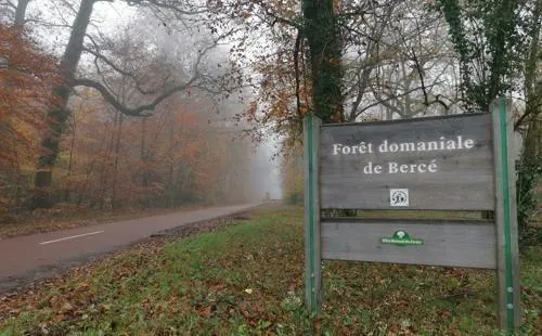 photo  un topoguide des randonnées en forêt de bercé (sarthe) sera également réalisé dans l’année.  &copy;  archives ouest-france 