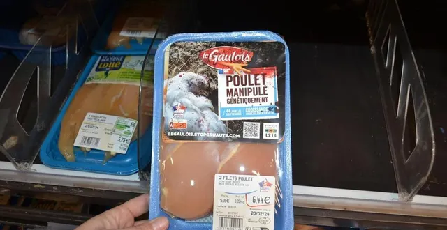 photo  des militantes de l214 ont collé des stickers sur les barquettes de poulet le gaulois à sablé-sur-sarthe le samedi 17 février.  &copy;  le maine libre 