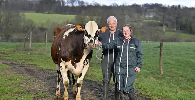 photo  installés à briouze (orne), françois foucault et sa fille lucie sont les éleveurs d’« oreillette ». la vache normande, âgée de cinq ans, sera l’égérie du prochain salon de l’agriculture de paris du 24 février au 3 mars. onze ans après « aronde », la dernière normande à avoir connu cet honneur.  &copy;  stéphane geufroi / ouest-france 