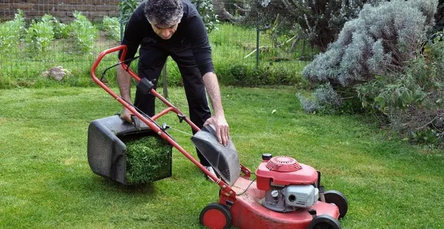 photo  les déchets de tontes peuvent être valorisés dans le jardin.  &copy;  archives 