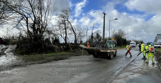 photo  la tempête louis a causé la chute d’arbres et de branches route de laval à sablé, jeudi en début d’après-midi.  &copy;  le maine libre 