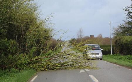 photo Les rafales ont provoqué la chute d’un arbre sur la RD902 entre Barfleur et Quettehou (Manche). Ouest-France 